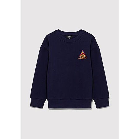 STAY WILD BASKILI SWEATSHIRT