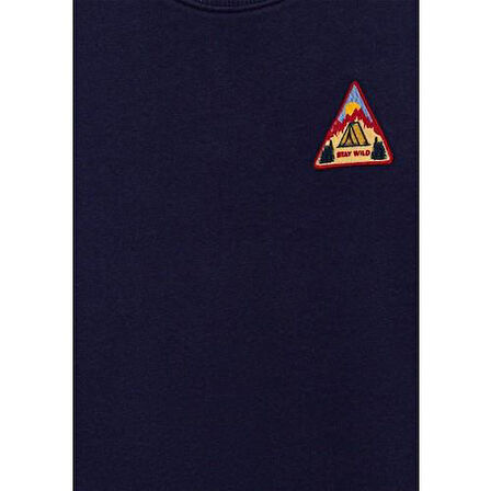 STAY WILD BASKILI SWEATSHIRT