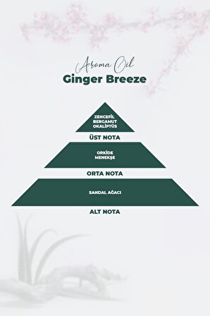 Aroma Oil Ginger Breeze Parfüm 500 ML