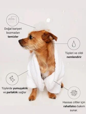 Greenwich Kedi ve Köpek Şampuanı 400 ml – Doğal İçerikli Vegan Şampuan | Günlük Tüy Bakımı, Nazik Temizlik ve Ekonomik Boy