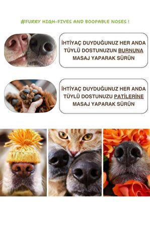 Greenwich Köpekler Için Kediler İçin Doğal Pati Koruma Ve Bakım Balmı 50ml