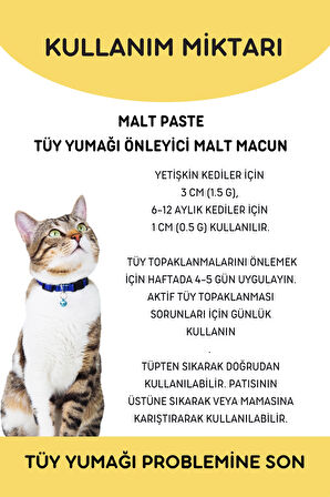 Vitpaw Malt Paste 100 Gr. Kediler İçin Tüy Yumağı Önleyici Anti-Hairball Malt Macunu (Tüm kediler için)