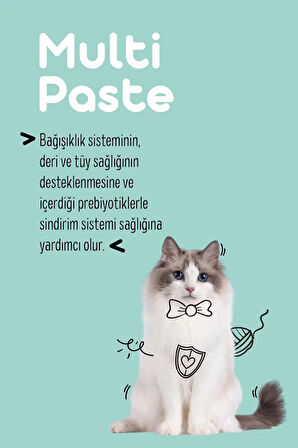 Multi Paste 100 Gr.(KEDİLER İÇİN BAĞIŞIKLIK GÜCLENDİRİCİ VE TÜY YUMAĞI ÖNLEYİCİ MULTİVİTAMİN)
