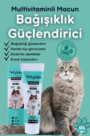 Multi Paste 100 Gr.(KEDİLER İÇİN BAĞIŞIKLIK GÜCLENDİRİCİ VE TÜY YUMAĞI ÖNLEYİCİ MULTİVİTAMİN)