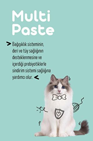 Multi Paste 100 Gr.(KEDİLER İÇİN BAĞIŞIKLIK GÜCLENDİRİCİ VE TÜY YUMAĞI ÖNLEYİCİ MULTİVİTAMİN)