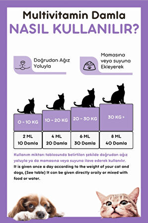 Vitpaw B+ Complex Damla 50 ml. Kediler için Tüy Sağlığını Destekleyici (Biotin & Çinko Multivitamin Damla)