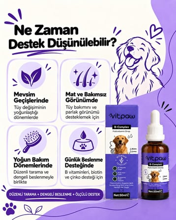 B+ Complex Dog | Köpekler İçin Deri ve Tüy Sağlığını Destekleyici Multivitamin Damla 50 ml.