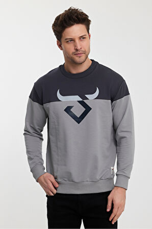 Twobull HELSİNKİ Erkek  Füme / Taş Sweatshirt