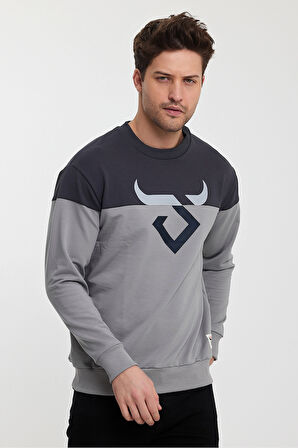 Twobull HELSİNKİ Erkek  Füme / Taş Sweatshirt