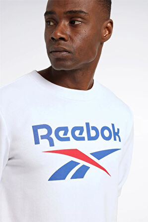 4W,REEBOK IDENTITY BIG LOGO,BEYAZ