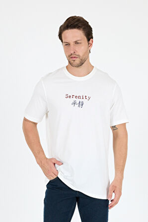 %100 Pamuk Bisiklet Yaka Baskılı Rahat Kesim, Nefes Alabilir Kumaş Erkek Tişört Basic Tişört 0104