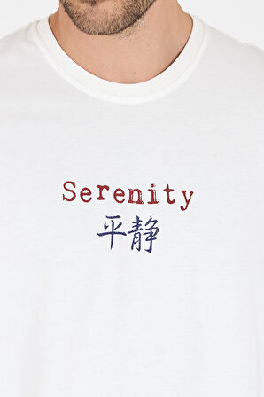 %100 Pamuk Bisiklet Yaka Baskılı Rahat Kesim, Nefes Alabilir Kumaş Erkek Tişört Basic Tişört 0104