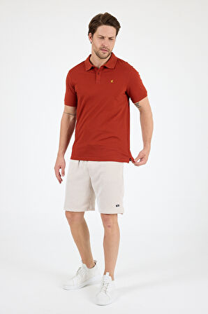 %95 Pamuk %5 Elastan Slim Fit Kısa Kollu Rahat Kumaş Nefes Alabilir Erkek Polo Yaka T-shirt 0002