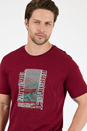 Regular Fit Pamuk Bisiklet Yaka Baskılı Penye Erkek Tişört 0026