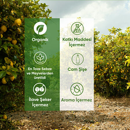 3'lü Organik Zerdeçallı İçecek Shot 60 Ml