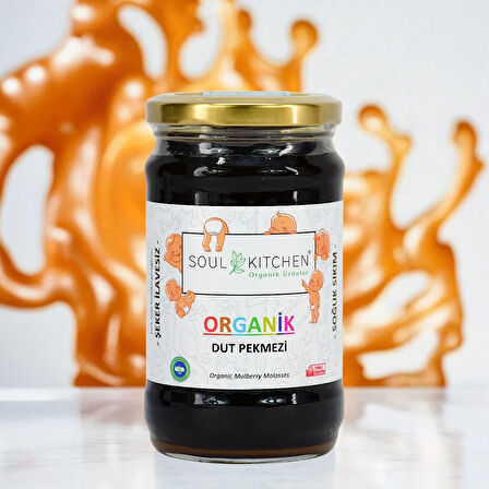 Organik Dut Pekmezi 380 g (Soğuk Sıkım) (Şeker İlavesiz)