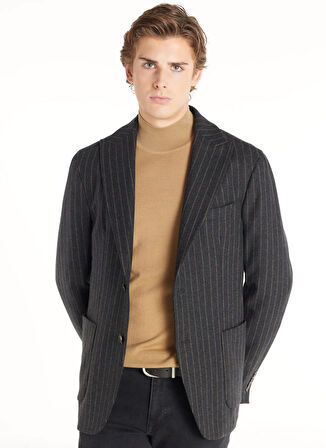 Ted Baker Standart Antrasit Erkek Çizgili Ceket TBMRJC1012