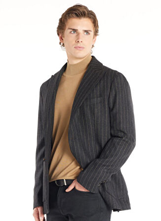 Ted Baker Standart Antrasit Erkek Çizgili Ceket TBMRJC1012