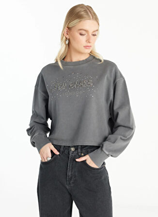 Ted Baker Bisiklet Yaka Taşlı Antrasit Kadın Sweatshırt TBWRTS1033