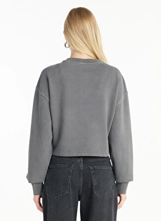 Ted Baker Bisiklet Yaka Taşlı Antrasit Kadın Sweatshırt TBWRTS1033
