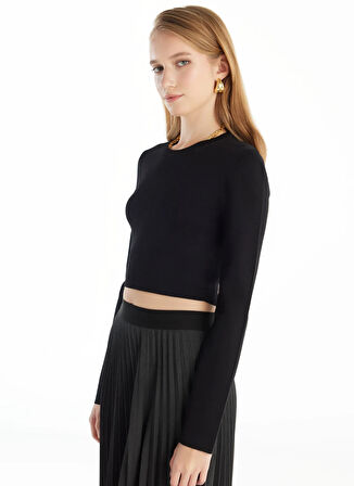 Ted Baker Bisiklet Yaka Standart Düz Siyah Kazak Kadın TBWRKW1045