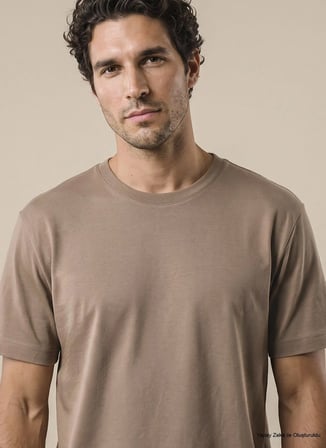 Brooks Brothers T-Shirt, 2XL, Vizon
