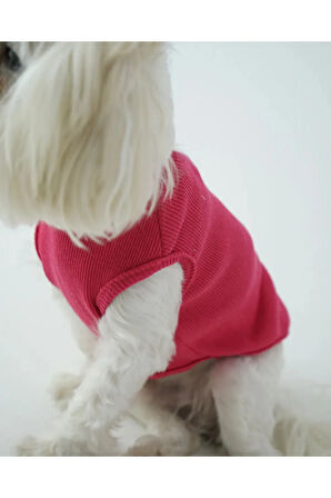 Patilinka Kedi Köpek Yazlık Kıyafet – Fuşya Atlet