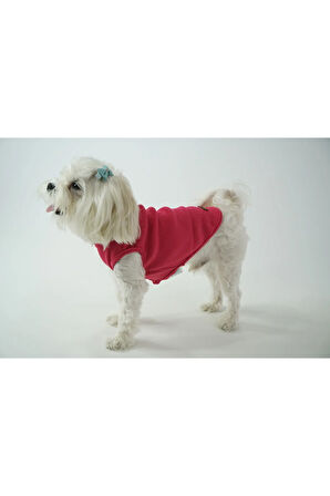 Patilinka Kedi Köpek Yazlık Kıyafet – Fuşya Atlet