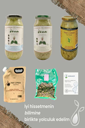 Tirshelle Collagen+ | Postbiyotik Çorba | Kolajen & Probiyotik Kür