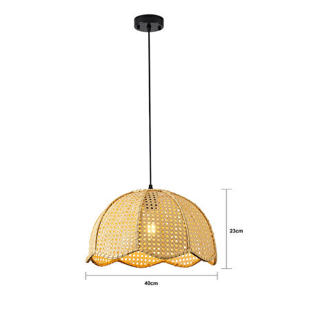 Alvise Tekli Hazeran Model Rattan Modern Tasarım Oturma Odası Avize
