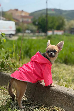 Patilinka Kedi Köpek Kışlık Kıyafet – Pembe Kapüşonlu Yağmurluk