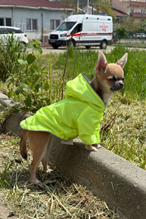 Patilinka Kedi Köpek Kışlık Kıyafet – Yeşil Kapüşonlu Yağmurluk