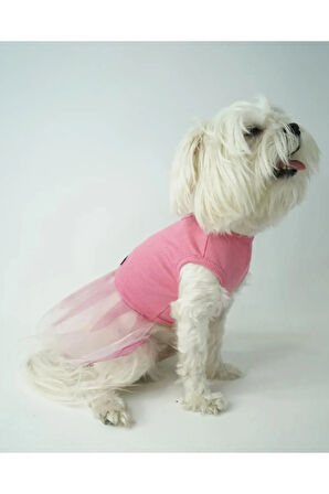Patilinka Kedi Köpek Yazlık Kıyafet – Pembe Tütü Elbise