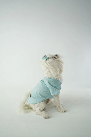 Patilinka Kedi Köpek Yazlık Kıyafet – Mint Yeşili Poplin Gömlek