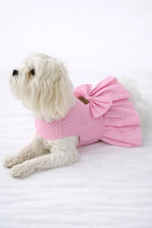 Kedi - Köpek Yazlık %100 Pamuklu Poplin Elbise - Kıyafet - Tişört