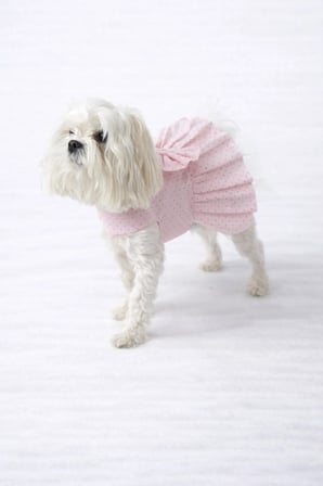 Kedi - Köpek Yazlık %100 Pamuklu Poplin Elbise - Kıyafet - Tişört