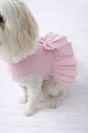 Kedi - Köpek Yazlık %100 Pamuklu Poplin Elbise - Kıyafet - Tişört
