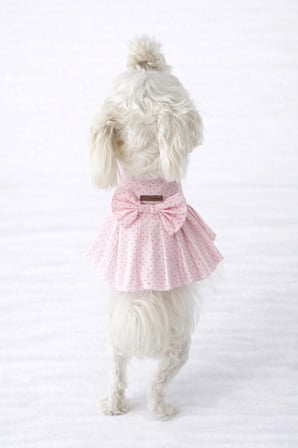 Kedi - Köpek Yazlık %100 Pamuklu Poplin Elbise - Kıyafet - Tişört