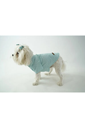 Patilinka Kedi Köpek Yazlık Kıyafet – Mint Yeşili Poplin Tişört