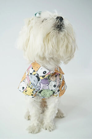 Patilinka Kedi Köpek Yazlık Kıyafet – Karışık Hayvan Desenli Poplin Tişört