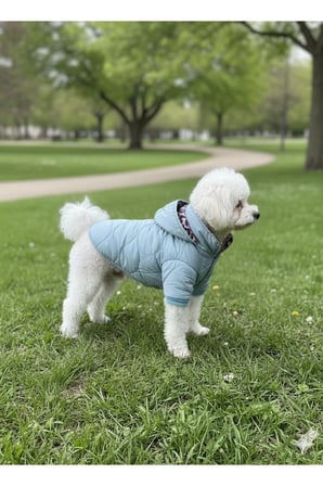 Kedi - Köpek Kapitoneli Şişme Kalın Yağmur ve Kar Geçirmez Kışlık Mont - Yelek - Kıyafeti
