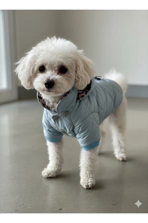 Kedi - Köpek Kapitoneli Şişme Kalın Yağmur ve Kar Geçirmez Kışlık Mont - Yelek - Kıyafeti