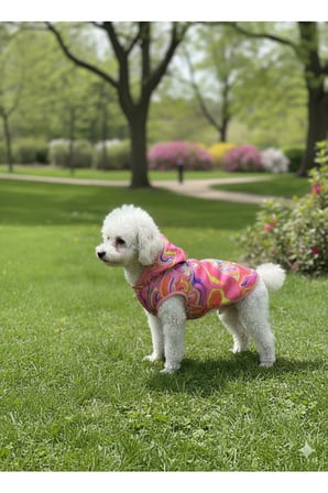 Kedi - Köpek Su Geçirmez Yelek Yağmurluk - Kıyafet - Mont - Sweat