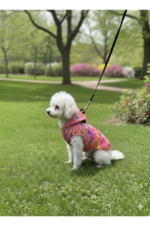 Kedi - Köpek Su Geçirmez Yelek Yağmurluk - Kıyafet - Mont - Sweat