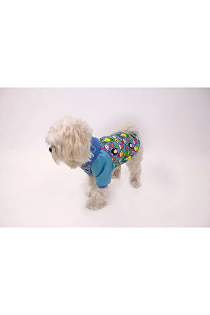 Patilinka Kedi Köpek Kışlık Kıyafet – Mavi Şardonlu Desenli Sweat