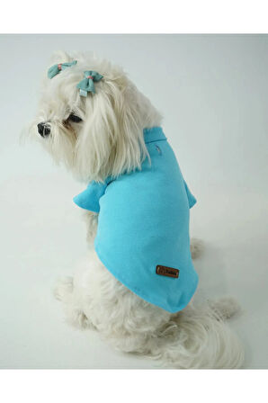 Patilinka Kedi Köpek Yazlık Kıyafet – Mavi Polo Yaka Tişört