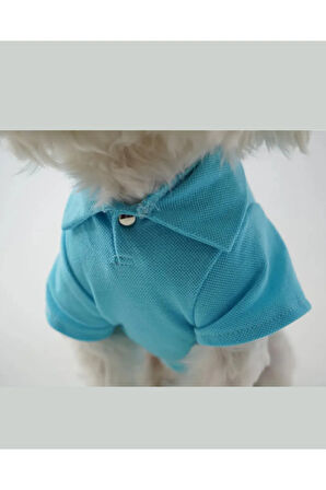 Patilinka Kedi Köpek Yazlık Kıyafet – Mavi Polo Yaka Tişört