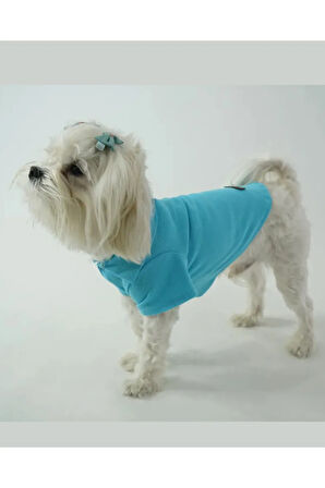Patilinka Kedi Köpek Yazlık Kıyafet – Mavi Polo Yaka Tişört