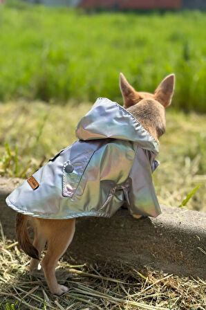 Patilinka Kedi Köpek Kışlık Kıyafet –  Platin Kapüşonlu Yağmurluk