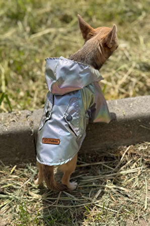 Patilinka Kedi Köpek Kışlık Kıyafet –  Platin Kapüşonlu Yağmurluk